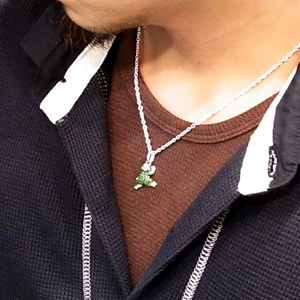fn-cs72-chain