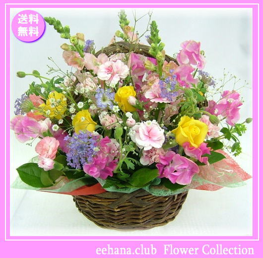 ■4月の誕生花【かすみ草】を入れた春の豪華でかわいいアレンジです 15時までのご注文であす楽対応！ 全国どこでも【送料無料】です！ 4月の季節の新鮮なお花を入れて真心込めて贈ります♪ 誕生日カード【無